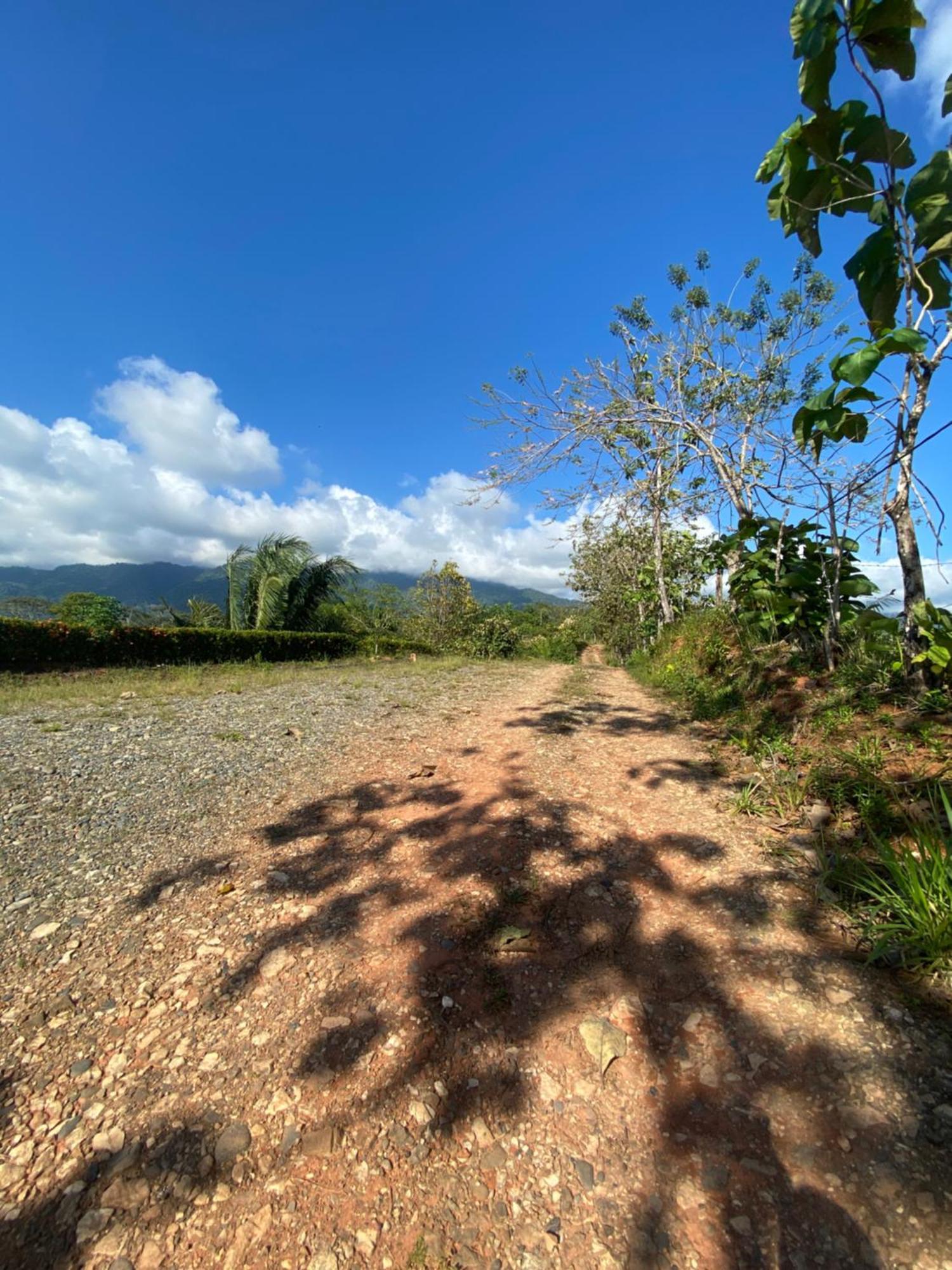 Valles Of Osa Palmar Sur Extérieur photo