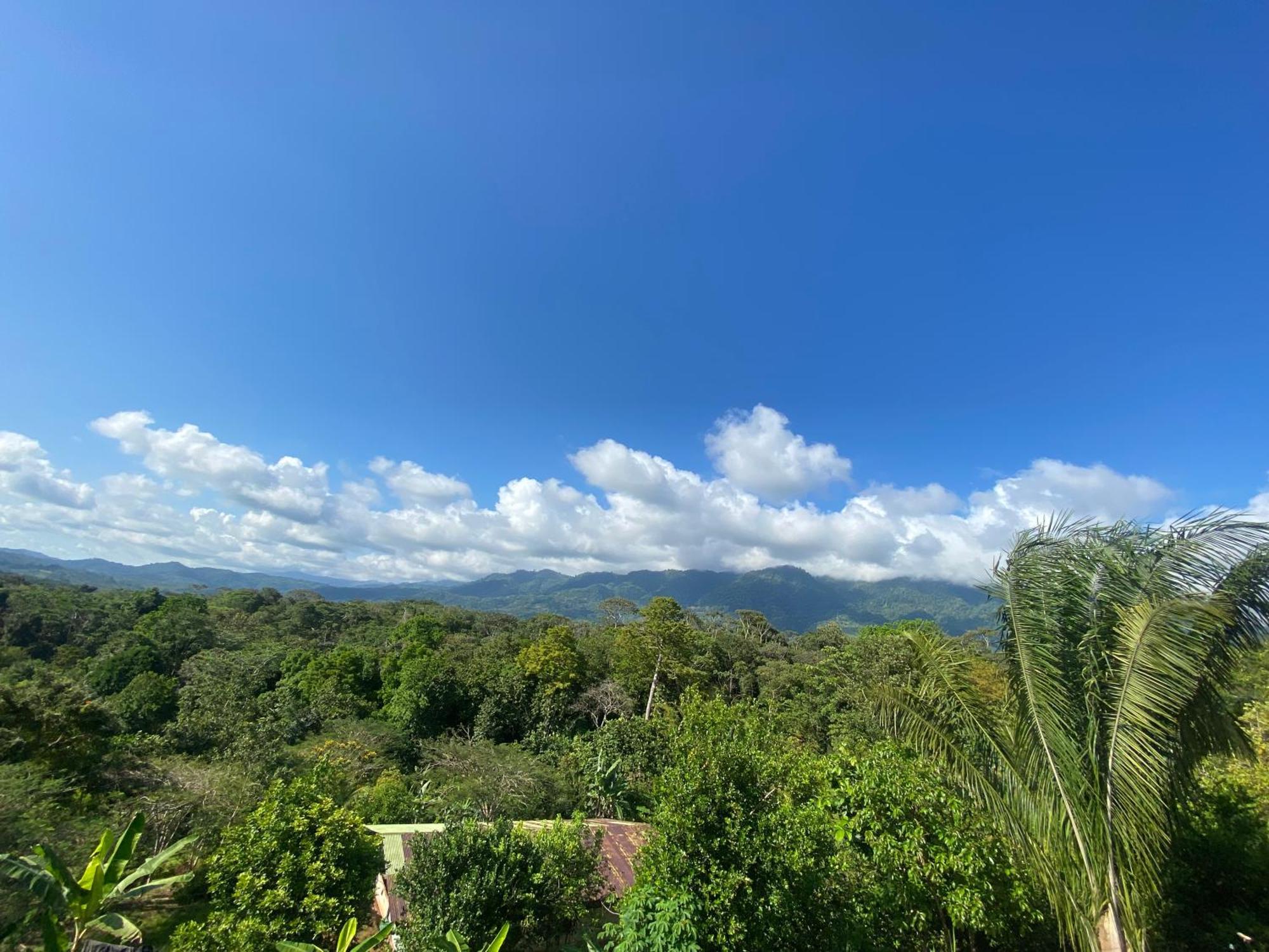 Valles Of Osa Palmar Sur Extérieur photo