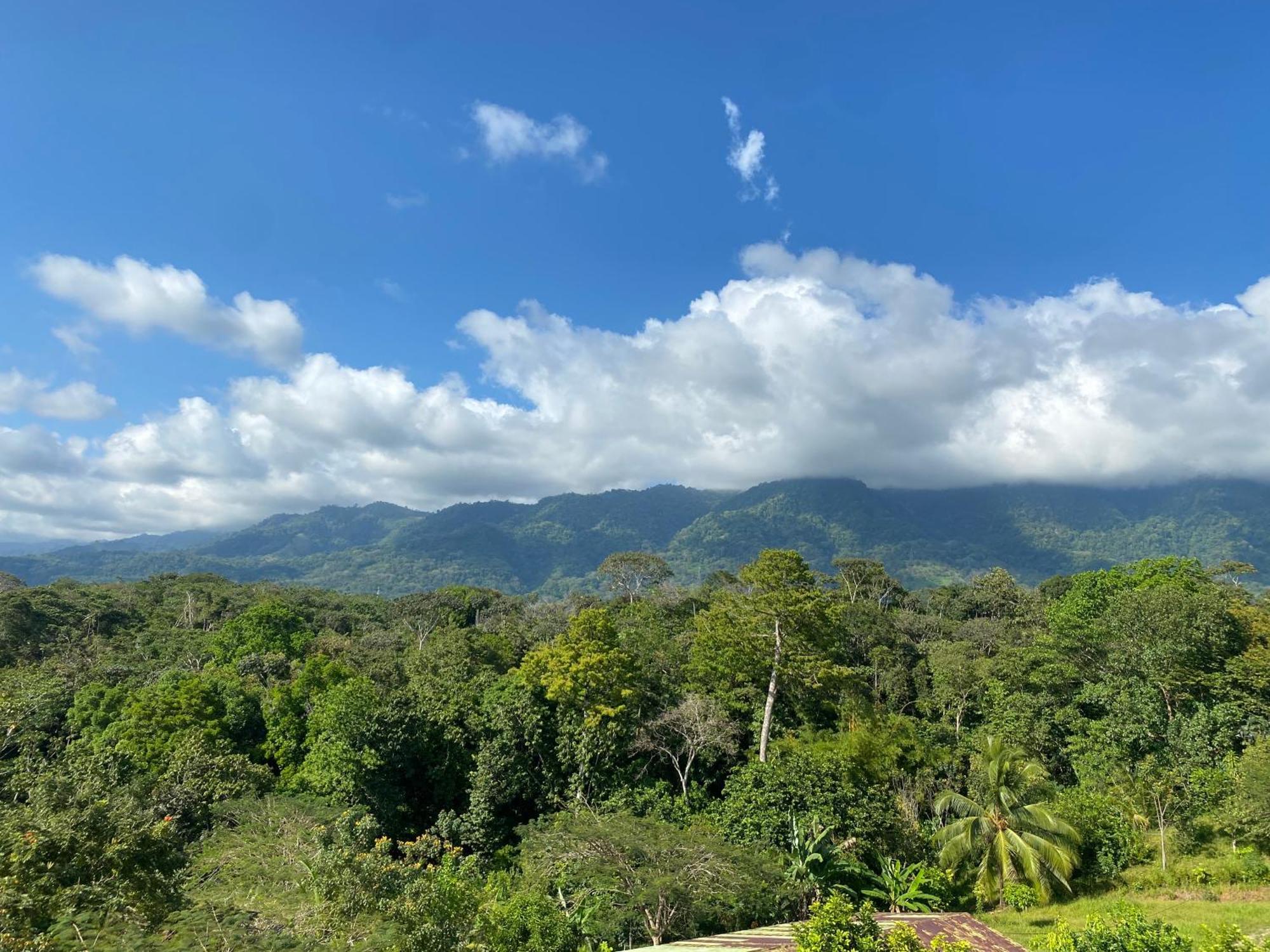 Valles Of Osa Palmar Sur Extérieur photo